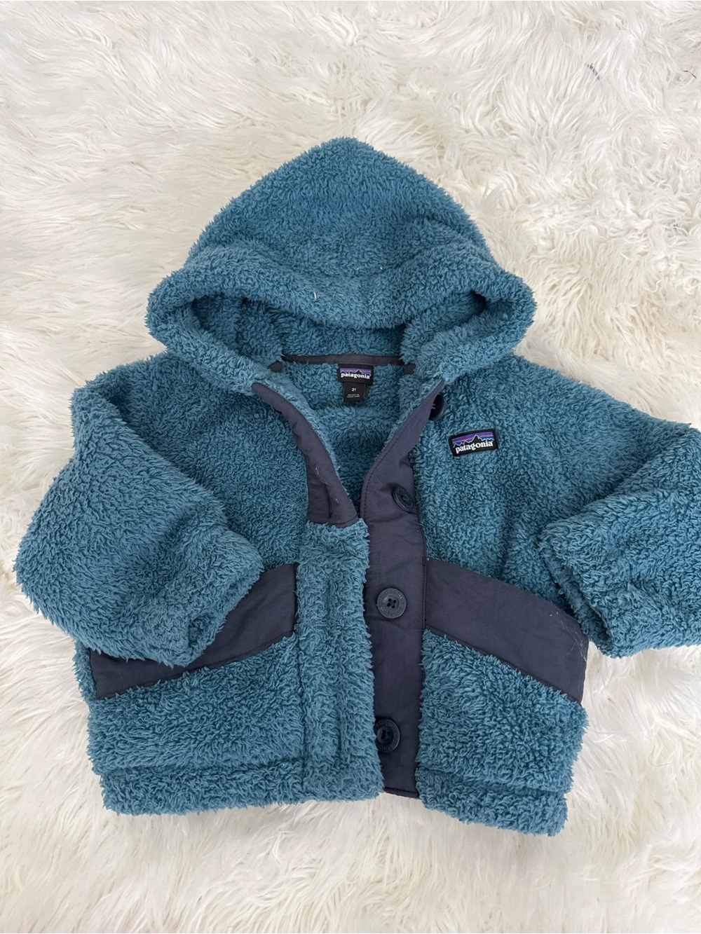Patagonia Teal Plush Teddy Fleece Jacket